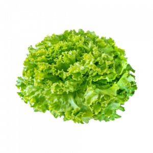 BATAVIA salade