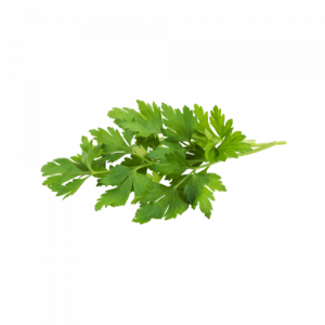 Bouquet de persil plat